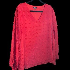 Cotton Bleu Rex , long‎ sleeved fabric dot blouse. Size 1x